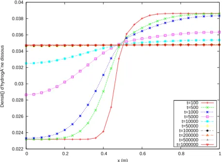 Fig. 3.4: Profils de la densit´e d’hydrog`ene dissous pour le cas test MOMAS condition initiale hors ´equilibre