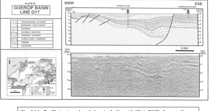 Fig. I.14 : Profil sismique dans le bassin de Guercif, (Zizi, 2002). Le remplissage  syn-rift va du Lias Inférieur au Jurassique supérieur