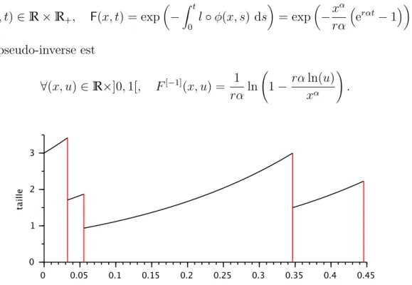 FIGURE 1.1.2 – simulation d’une trajectoire d’évolution de la taille d’une cellule.