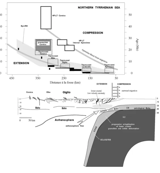 Figure I.7 : Coupe lithosphérique de la mer Tyrhénienne depuis la Corse jusqu’aux Apennins