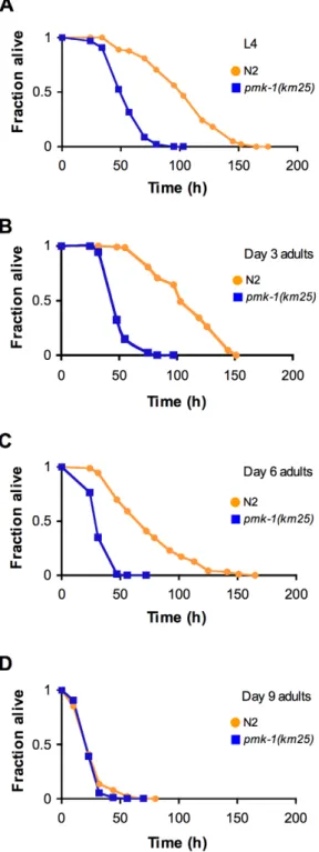 Figure 5. Age-dependent decrease in the contribution of PMK-1 p38 MAPK signaling to C