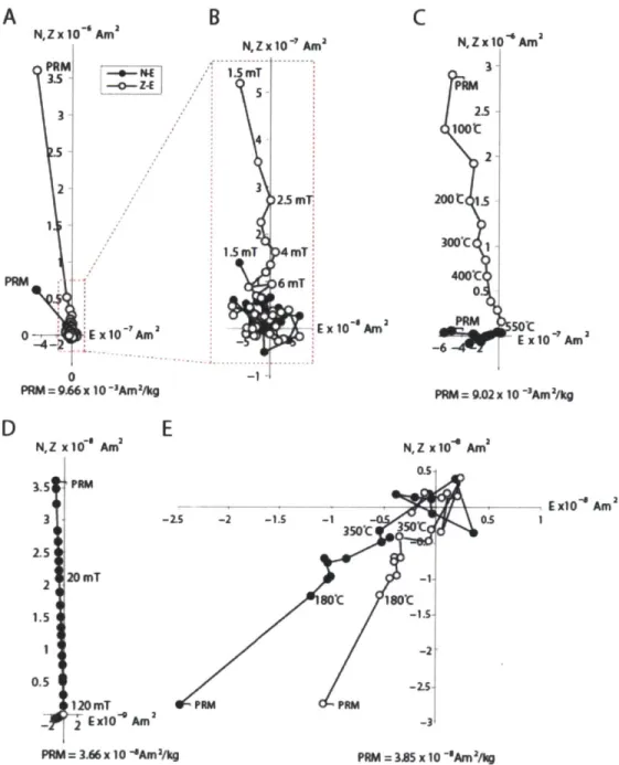 Fig.  6.  AF  and thermal  demagnetization  of 1.8  GPa  PRM.  (A)  AF  demagnetization  of 1.8  GPa  PRM  in  NWA 6490