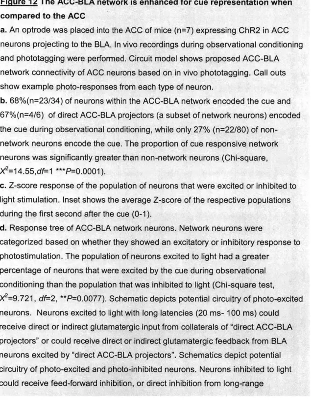 Figure  12 The  ACC-BLA network  is enhanced  for cue  representation  when compared  to the  ACC