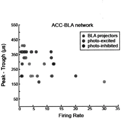 Figure 13 In  vivo electrophysiological  characterization  of ACC-BLA network  neurons Scatter  plot of all ACC-BLA  network neurons  based  on  their photo-responses