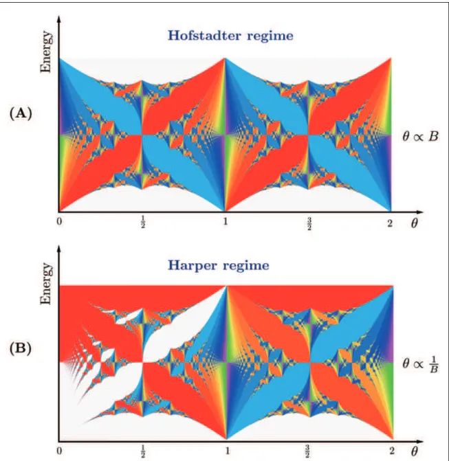 Figure 1.10 : [Our elaboration of pictures in (Avron 2004)]. The colored quantum butterflies are graphic representations of the TKNN-equations