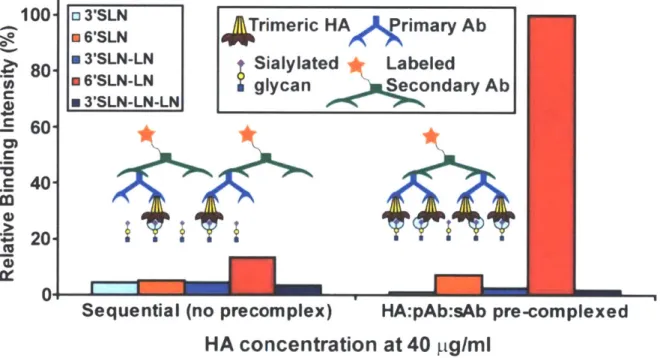Figure  1.11  Glycan  Array Assay to Capture  Multivalent HA-glycan  Interactions.  Using either a  sequential binding assay or precomplexation  of  HA  units with  primary  and  secondary