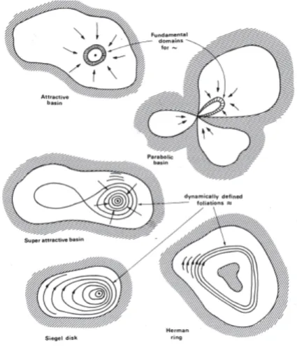 Figure 2-1: Five kinds of different Fatou component
