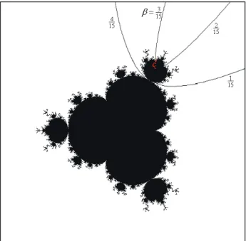 Figure 2-3: Multibrot set M 4 . The parameter rays R M 4 (1/15) and R M 4 (4/15) land on the root of some hyperbolic component