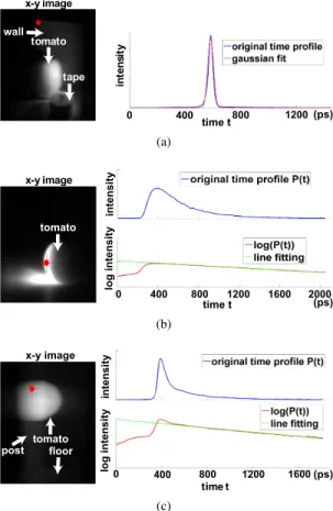 Figure 2. (a) Tomato tape scene. A Gaussian closely approximates the time profile of a point containing only the direct component.