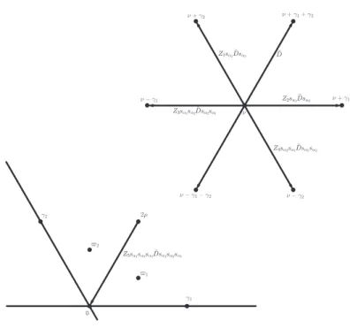 Figure 2.1 – Action des conjugués de D ˜