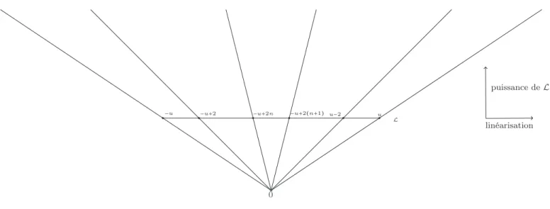 Figure 3.1 – Cône C ∗ -ample de X