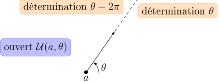 Figure 3. Branche du logarithme sur l'ouvert U pa, θq