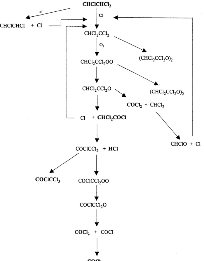 Figure 4.17:  Schematic  of reaction  pAW  ys of TCE decomposition  in  the EBGPR.