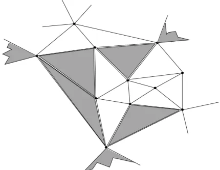 Figure 2.4: Triangulation de Delaunay