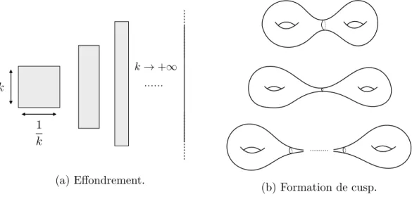 Figure 1.1 – Dégénérescences de métriques d’Einstein en dimension 2.