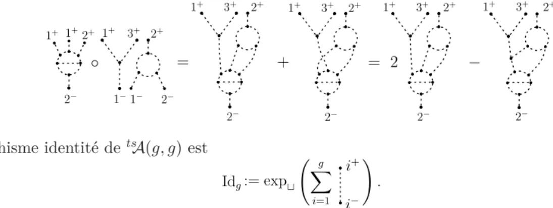 Figure 1.9: Système de méridians et de parallèles {α i , β i }.