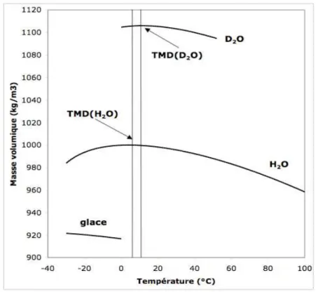 Figure 4 Variation de la masse volumique de l’eau liquide avec la température. Pour les liquides “normaux”, la masse volumique décroit de manière monotone