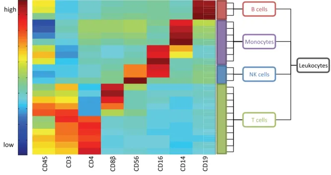 Figure 2.5: User-based aggregation of FlowGM clusters into meta-clusters for immune cell type characterization with cluster centroid heat map (normalized coordinates)