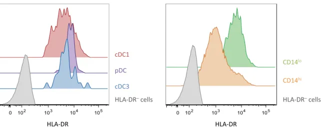 Figure 2.12: Distribution of HLA-DR intensity for diﬀerent DC cells and subsets of mono- mono-cytes in the reference donor.