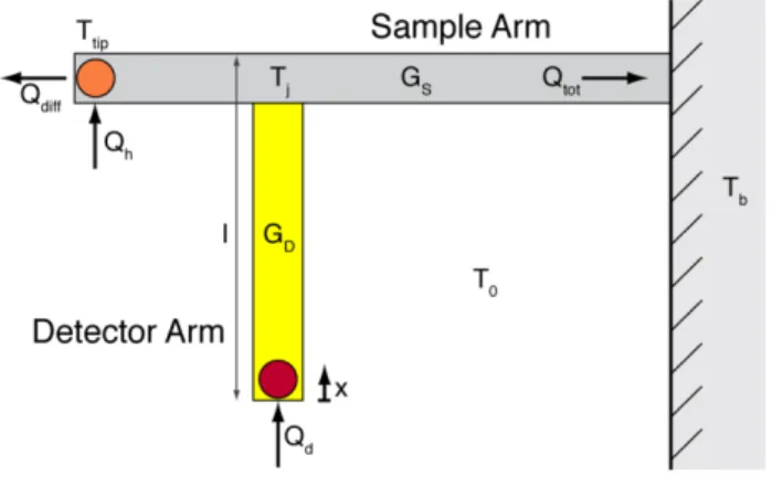 FIG. 1. Euler-Bernoulli beam theory is used to model the bi-arm cantilever as a one dimensional  structure and to predict its thermomechanical behavior