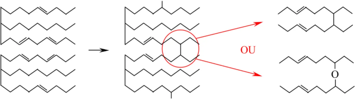 figure 9 : exemple de processus de polymérisation de deux triglycérides  O OU 