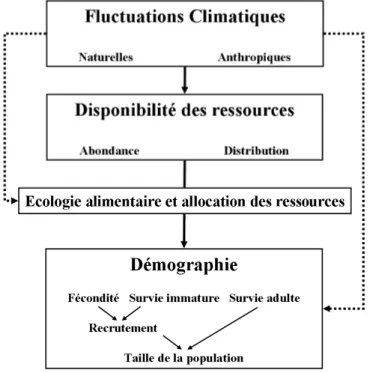 Figure 1 Place de l’écologie alimentaire à l’interface entre l’étude des facteurs abiotiques et l’étude des  populations 
