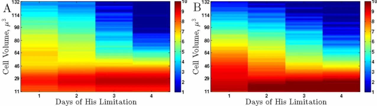 Figure  3.  Cell  Size  Distributions  of  Batch  Cultures.  Cell  size  distributions  in  batch  cultures  of  his3  auxotrophs  with CEN.PK  background  (DBY9496)  (A)  and  with S288c  background  (DBY12029)  (B)