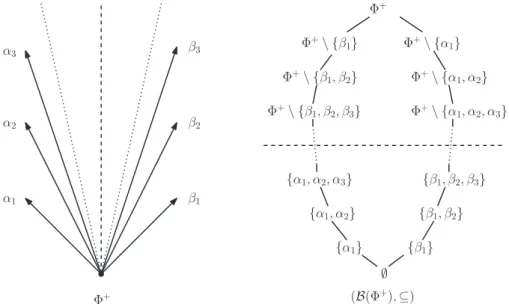 Figure 1.8. On représente sur cette gure le poset ( B (Φ + ), ⊆ ) obtenu en consi- consi-dérant un ensemble de racine du groupe dihédral inni.