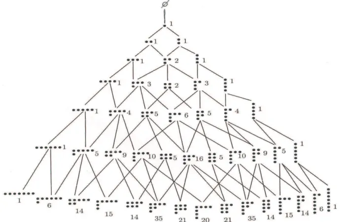 Fig. I.1. Diagramme de Bratteli (huit premiers niveaux) pour la chaîne des groupes symétriques.
