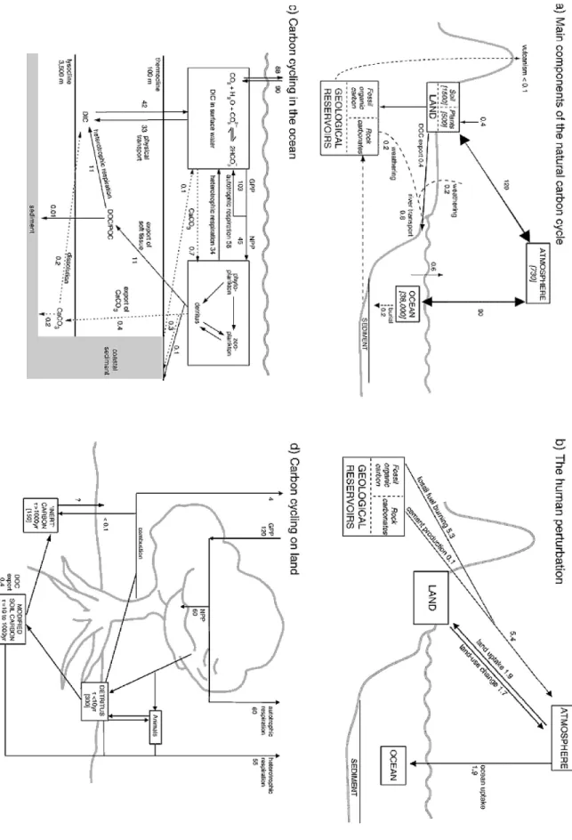 Figure 1 : le cycle du carbone. Ce graphique est issu de [IPCC, 2001] (figure 3.1 de ce rapport)