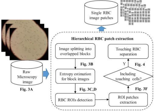 Fig 2. Hierarchical RBC patch extraction algorithm workflow. See also Figs 3 and 4 for details of each step.
