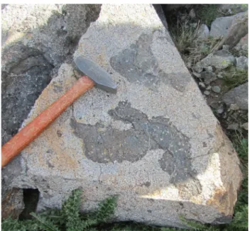 Fig. 2   Photograph of irregular shaped mafic enclave in host grano- grano-diorite collected from the Pinnacle Pool area of the Mt