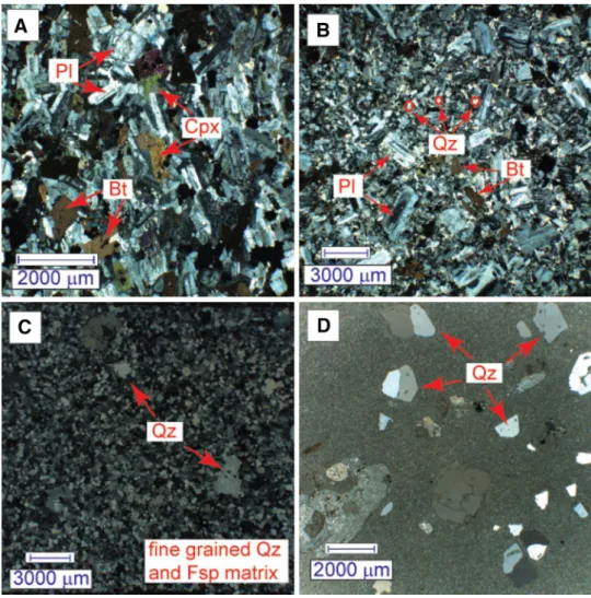 Fig. 3   Thin section photomi- photomi-crographs of rocks from the Mt. 