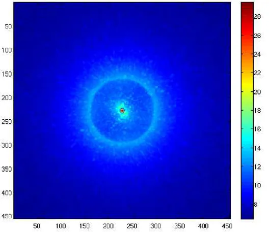 Fig. 3.1: Image obtenue ` a partir d’une simulation end-to-end du futur instrument VLT-SPHERE et repr´esent´ee en ´echelle logarithmique (intensit´e de chaque pixel mise `a la puissance 0.2) afin de faire apparaˆıtre les donn´ees de faible intensit´e