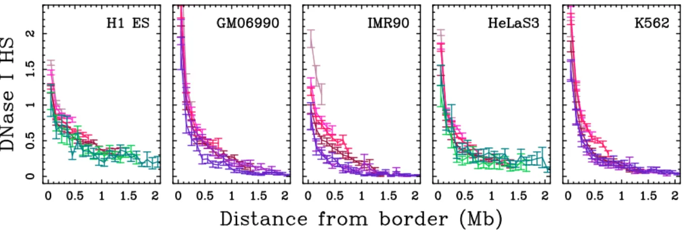 Figure 4.15. MaOris are open chromatin regions. Mean coverage by DNase I HS (Section 4.4) (relatively to the genome average) as a function of the distance the distance from the nearest (split-) U-domain border in different cell lines (same color coding as 
