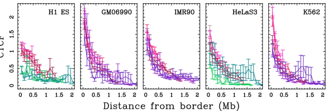 Figure 4.16. Enrichment in CTCF insulator-binding protein at MRT domains bor- bor-ders