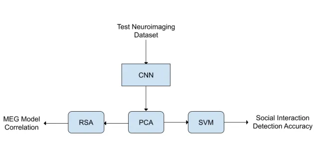 Figure 3-1: Model Architecture: This is a high level overview of the model ar- ar-chitecture that evaluates how neural networks differentiate between social and non social interactions