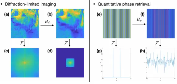 Figure 2-1: Effect of forward operators in the frequency domain. (a) an ImageNet example