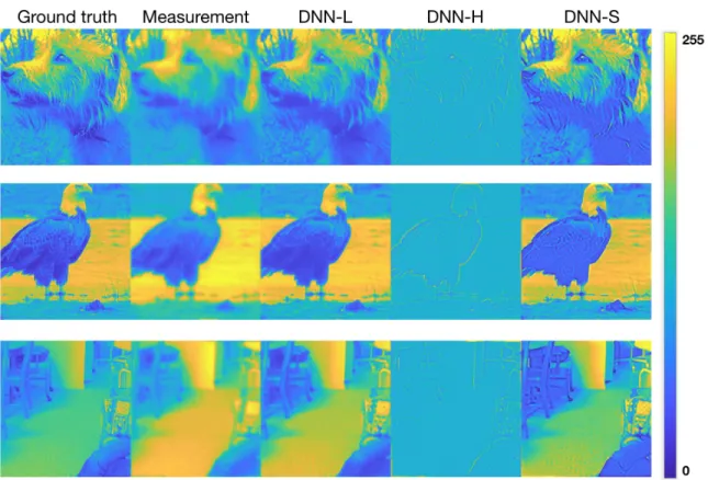 Figure 2-9: LS-DNN for super-resolution in diffraction-limited imaging. From left to right: ground truth; measurement (blurry image due to frequency hard cut-off);