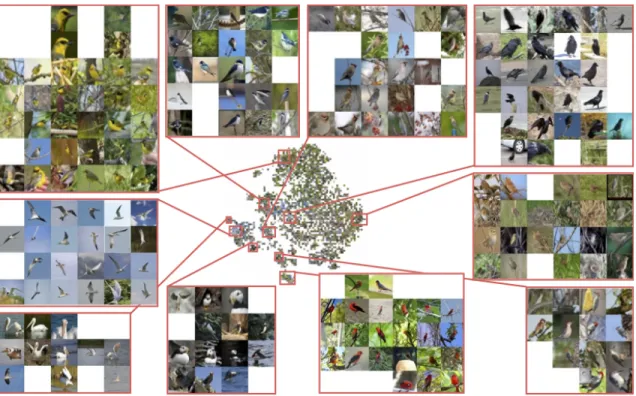 Figure 9: Barnes-Hut t-SNE visualization [36] of our embedding on the test split (class 101 to 200; 5,924 images) of CUB- CUB-200-2011