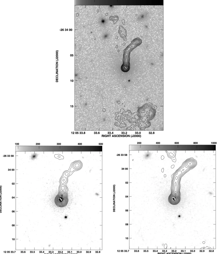 Figure 8. Three views of 1202–262 showing the HST F814W image (gray scale) overlaid with radio contours