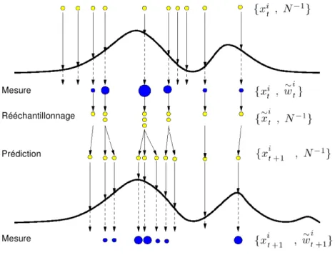 Fig. 2.3: Échantillonnage d'importance séquentiel avec rééchantillonnage.