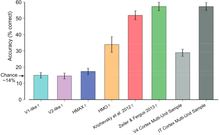 Fig. 5. Linear-SVM generalization performance of neural and model representations. Testing set classification accuracy averaged over 10 randomly-sampled test sets is plotted and error bars indicate standard deviation over the 10 random samples