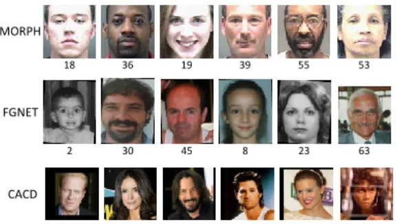 Figure 4. Some examples of MORPH [45], FG-NET [42] and CACD [8]. The number below each image is the chronological age of each subject.