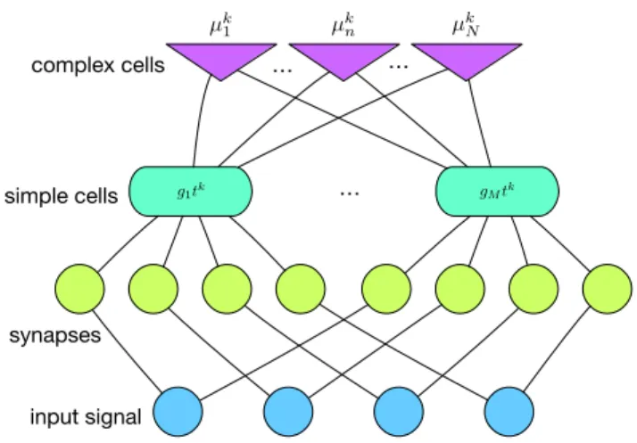 Fig. 1. Illustration of a simple-complex cell module (projections-pooling) that computes an invariant signature component for the k-th template.