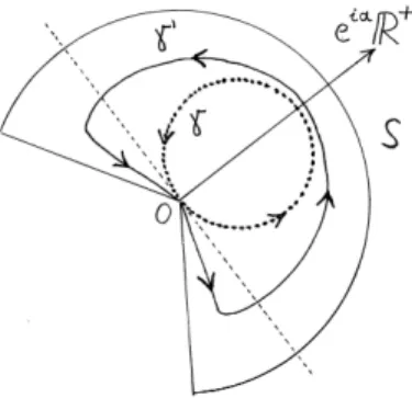 Figure 1.1. Integration paths of the Borel transformation in direction α.