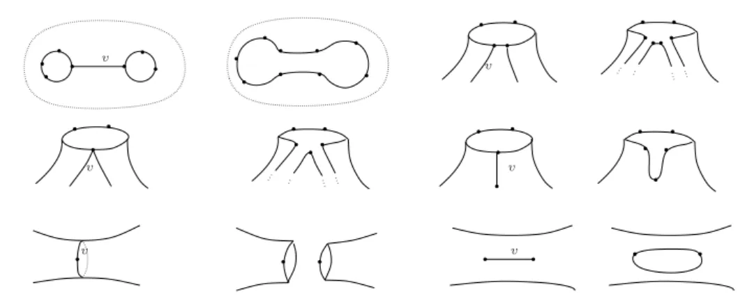 Figure 2.4: Cutting along v on S
