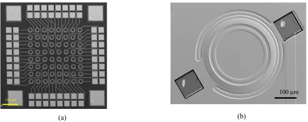 Figure 6: SEM images of (a) SiC APD array and (b) single test APD device with an optical filter.