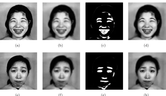 Figure 4-11: Top: A highlighted happy face image. Bottom: A highlighted sad face image.