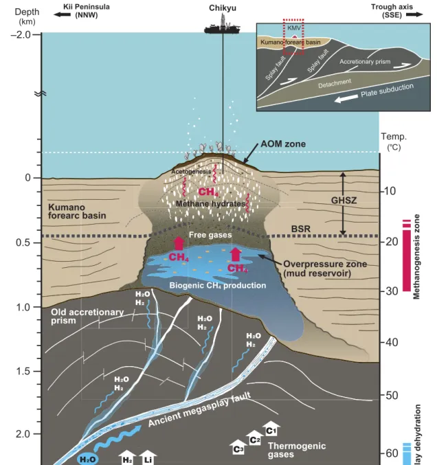 Fig. 6. Schematic figure illustrating methanogenesis in the deep mud volcano sediments associated with fluid migration via the megasplay fault